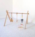 Australian Animals Theme Play Gym Set of 3