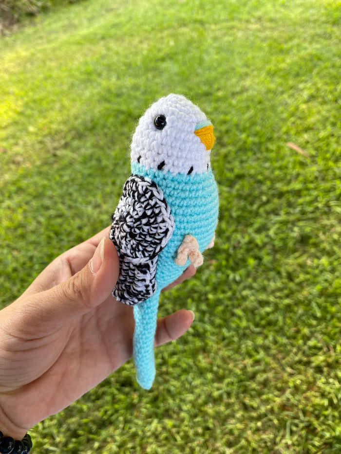 Australian Birds | Choose