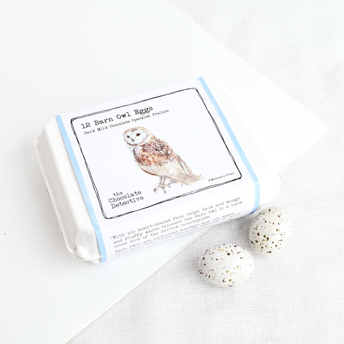Delicious Chocolate Bird Eggs (Box of 12) - Winter's Moon