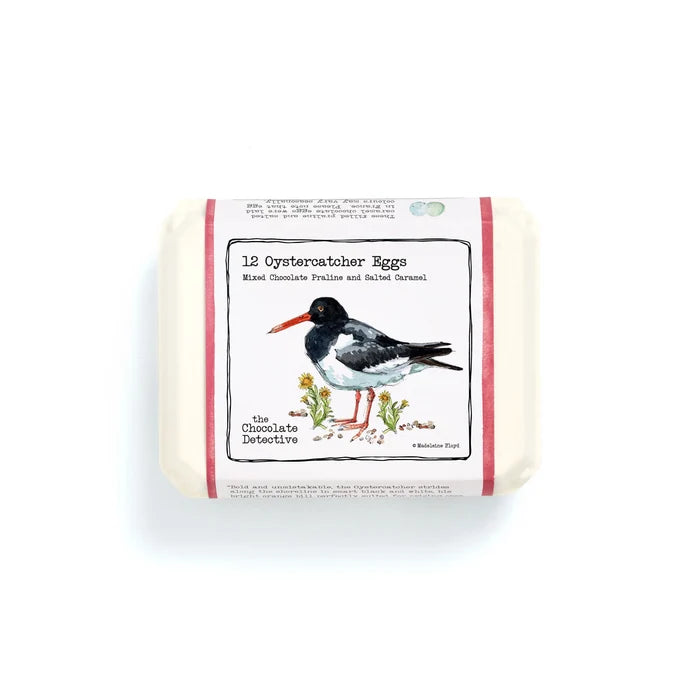 the chocolate detective - oystercatcher egg box - winter's moon