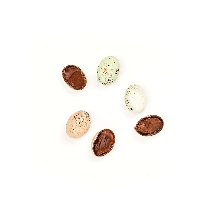 the chocolate detective - oystercatcher eggs - winter's moon