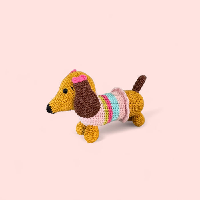 Datchshund Dog
