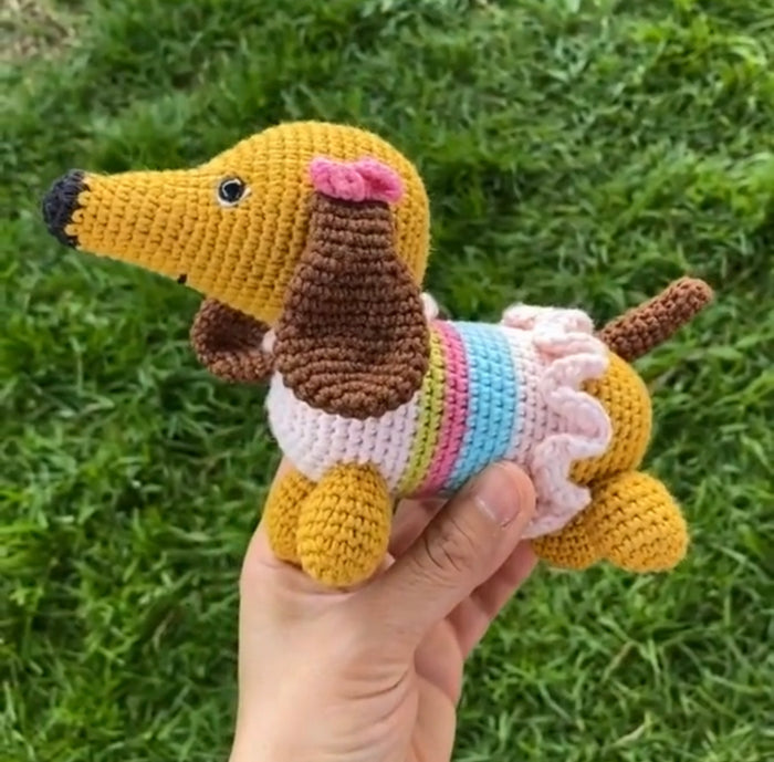 Datchshund Dog