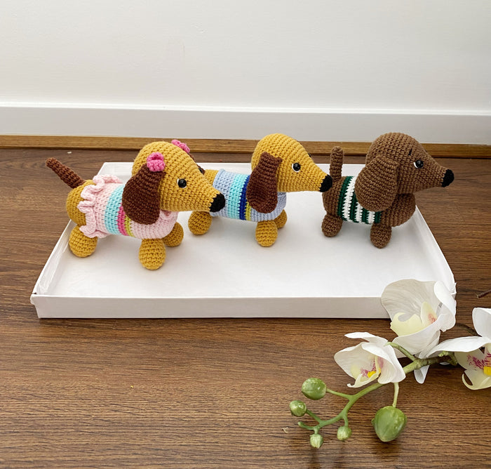 Datchshund Dog
