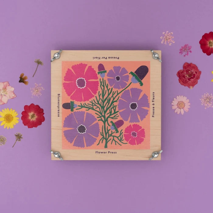 Flower Press - Cosmos - Winter's Moon