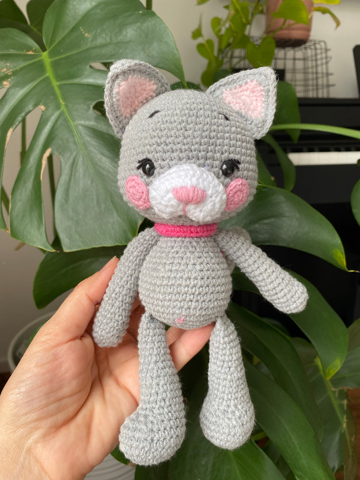 Lily The Cat