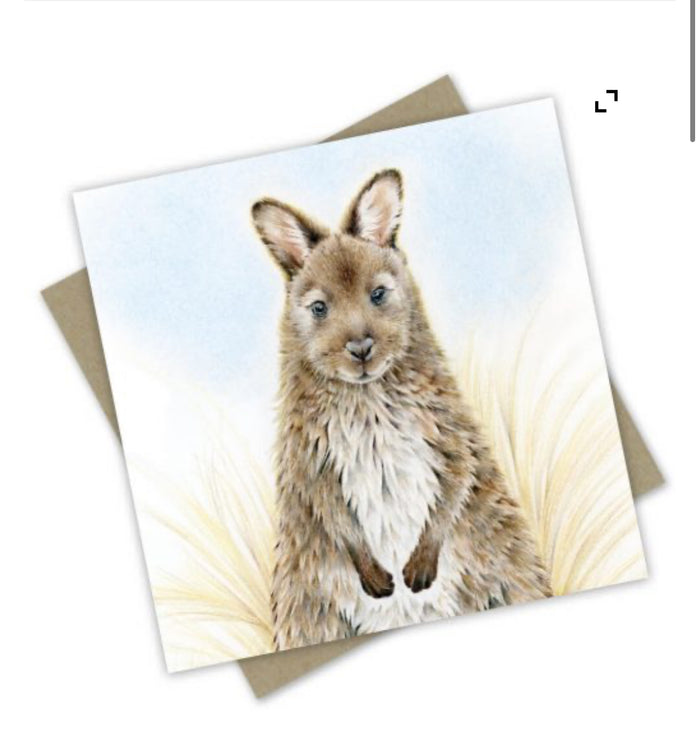 Match your toy with a card