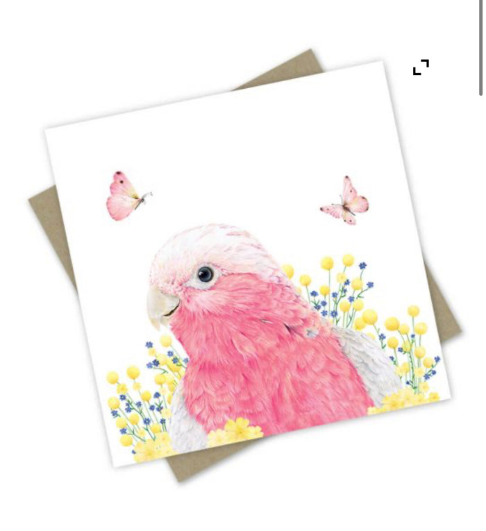 Match your toy with a card