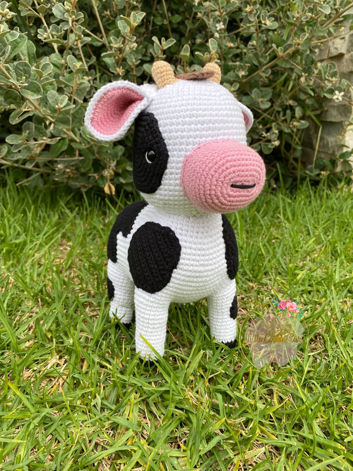 Momo The Cow