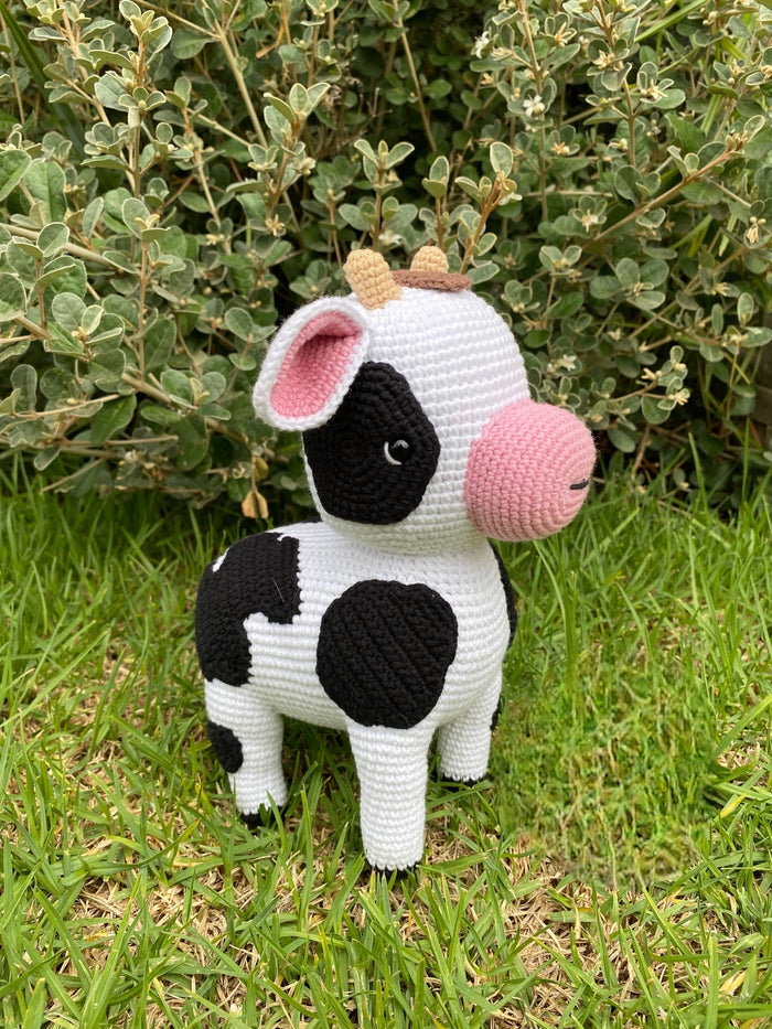 Momo The Cow