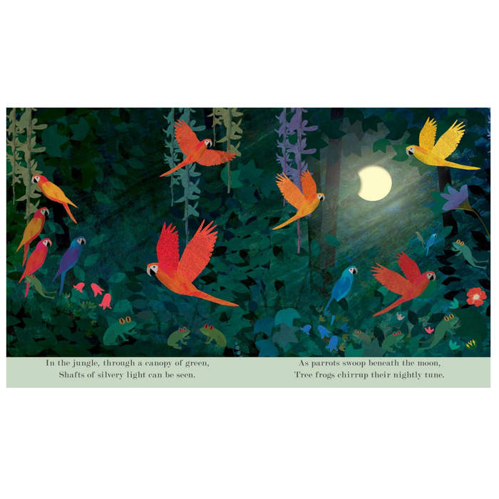 'Moon: Night-Time Around the World' Kids Book - Winter's Moon