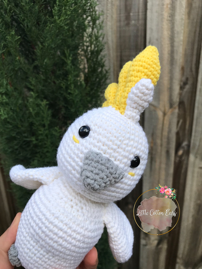 Percy the Cockatoo