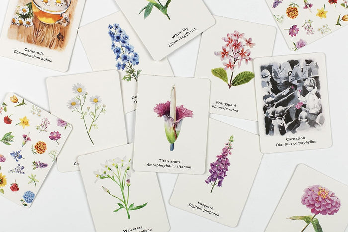 'Pick a Flower': A Memory Game - Winter's Moon