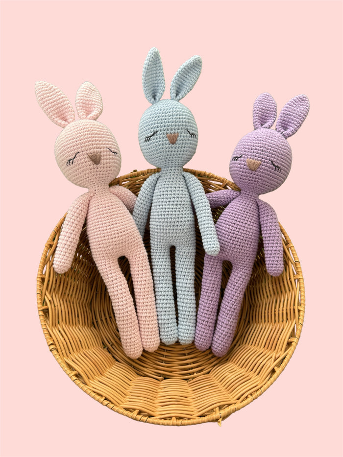 Sleepy Bunny Friend