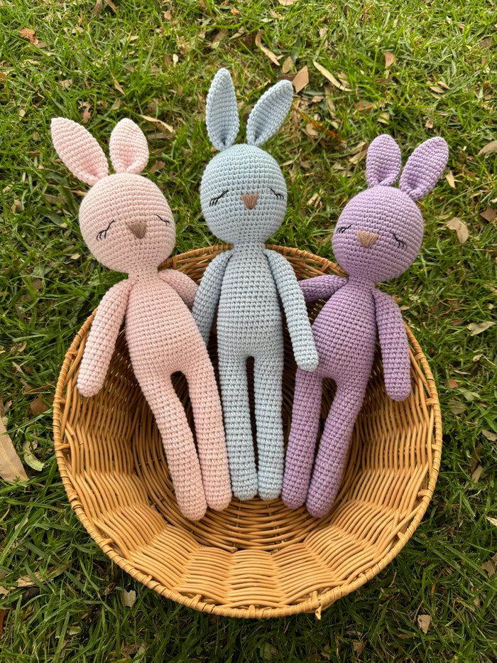 Sleepy Bunny Friend
