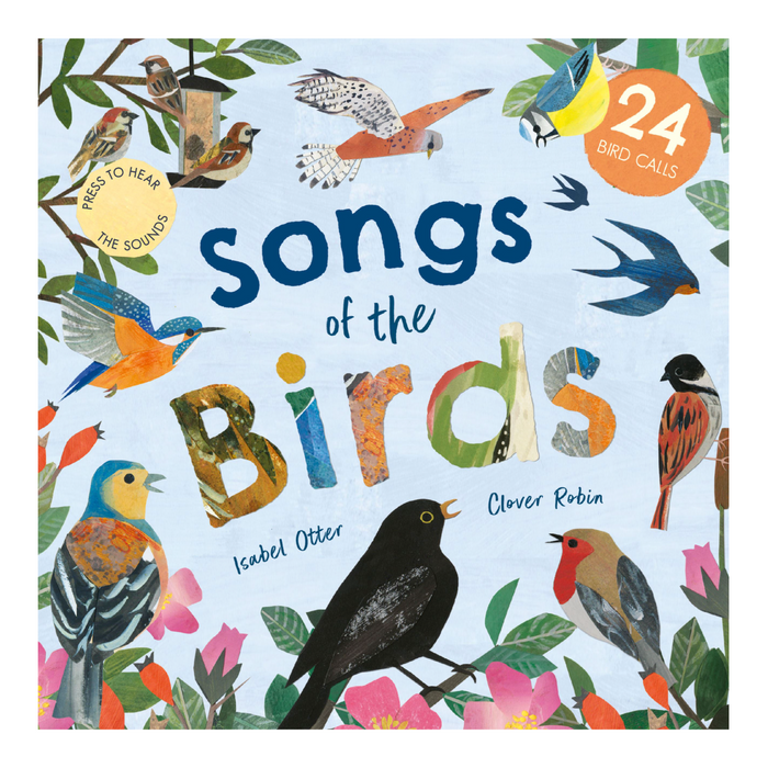 bookspeed - front cover of songs of the birds kids sound book - winter's moon