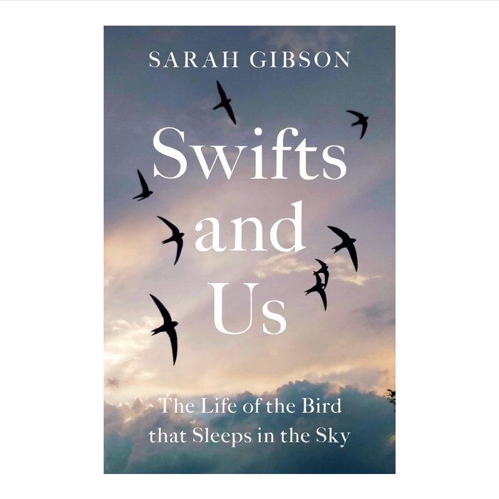 bookspeed - swifts and us by sarah gibson book cover - winter's moon