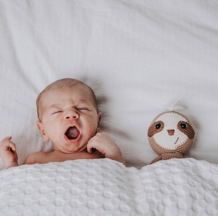 The Sleepy Sloth