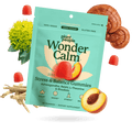 Plant People Wonder Calm Stress & Balance Gummies in a bright teal pouch, surrounded by peach slices, red gummies, a yellow flower, and mushroom slices on a white background.