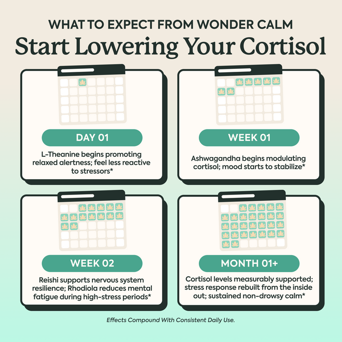 An infographic titled 'WHAT TO EXPECT FROM WONDER CALM Start Lowering Your Cortisol' with four labeled panels for Day 1, Week 01, Week 02, and Month 1+, showing small calendar grids and explanatory text about compound daily use and cortisol support.