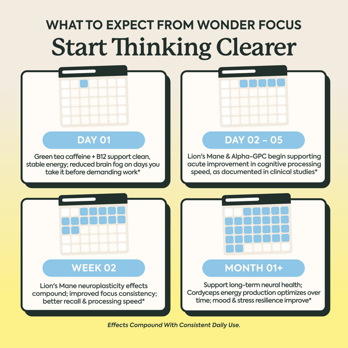 An informational graphic titled 'WHAT TO EXPECT FROM WONDER FOCUS Start Thinking Clearer' with four daily progress panels labeled Day 01, Day 02 - 05, Week 02, and Month 01+. The design uses a light beige background, blue header banners, and black text to describe cognitive benefits and effects compound use.