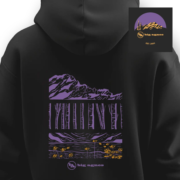 The Big Agnes M's Zirkel Triptych Hoodie is a black heavyweight hoodie featuring a purple and yellow mountain, trees, wildflowers graphic, and anniversary logo with "Est. 2001." This limited edition design celebrates the brand's anniversary.
